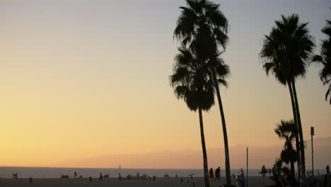 Palmen-Am-Strand-Von-Venedig-Bei-Sonnenuntergang