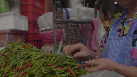 Hands-Sorting-Chilli-Peppers