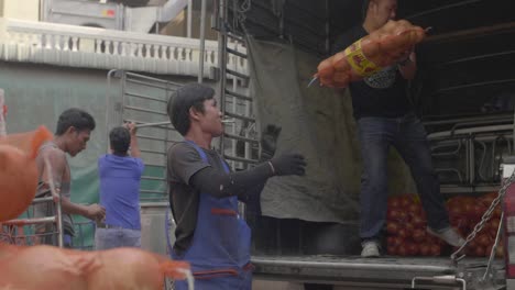 Hombres-cargando-cebollas-en-camión