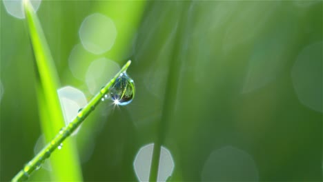 Water-Droplet-in-Sunlight-Macro-Shot