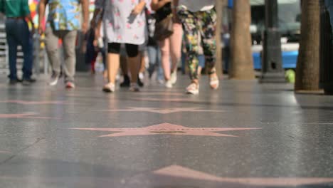 Crowds-on-Hollywood-Walk-of-Fame