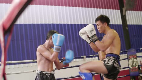 Muay-Thai-Boxers-Sparring