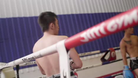 Muay-Thai-Boxer-in-Boxing-Ring
