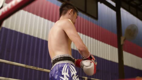 Muay-Thai-Boxer-Entering-Ring