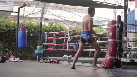 Boxer-Kicking-Punching-Bag