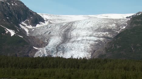 Alaska-Gletscher-Und-Wald