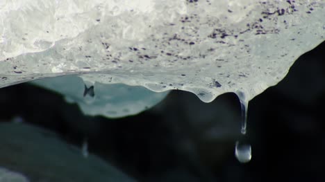 Melting-Glacier-Ice-Close-Up