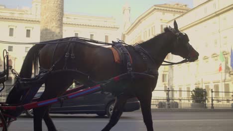Slow-Motion-of-Horse-and-Carriage