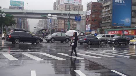 Pedestrian-Crossing-Road