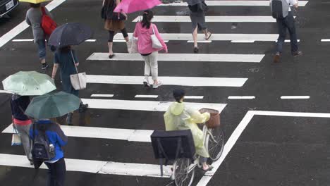 People-Crossing-Road