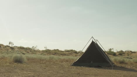 Green-Tent-in-the-Desert