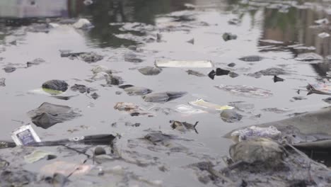 Rubbish-in-Water-Nigeria-02