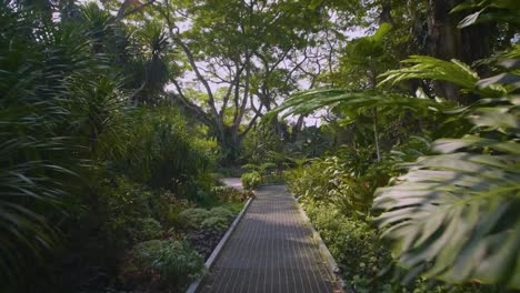 Botanischer-Garten-Singapur-01