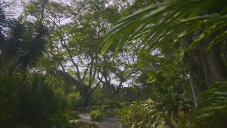 Botanischer-Garten-Singapur-02