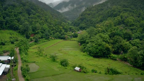 Lush-Green-Valley-Thailand