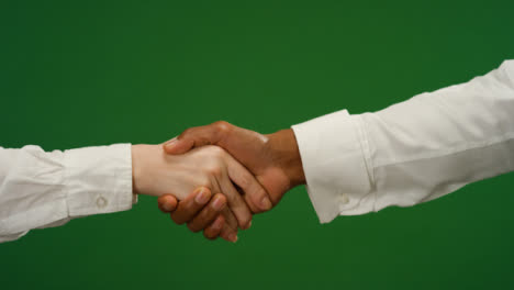 CU-Two-people-shake-hands-on-green-screen
