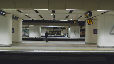 Viajeros-esperando-en-la-plataforma-del-tren