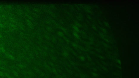 Abstract-Green-Light-Leaks