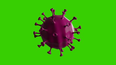 Coronavirus-Cell-Animated-Loop