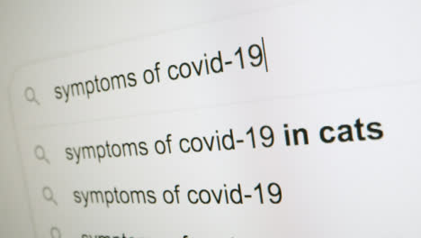 Covid-19-In-Die-Google-Suche-Eingeben