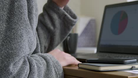 Male-in-Dressing-Gown-Looking-at-Laptop