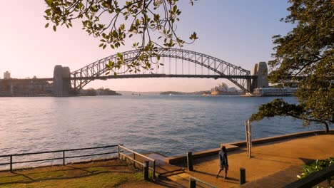Man-Walking-at-Blues-point-Sydney
