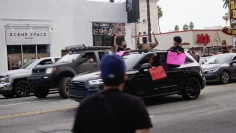 Hollywood-Group-of-People-in-Car-Protesting