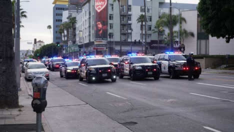 Hollywood-Static-Police-Cars-Blocking-Road