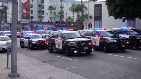 Hollywood-Rows-of-Static-Police-Cars-Blocking-Road