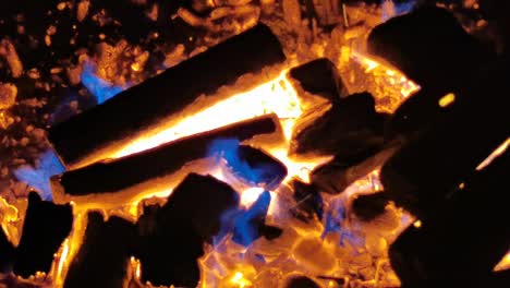 fire,Campfire