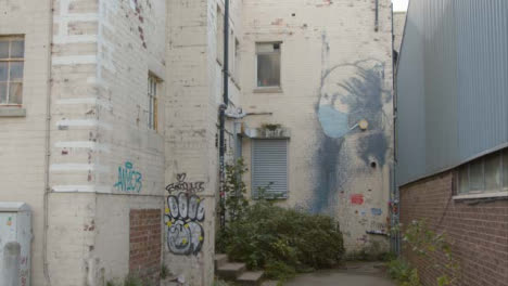 Plano-General-De-Banksy-Chica-Vistiendo-Aretes-De-Perlas-Ilustraciones-En-Bristol,-Inglaterra