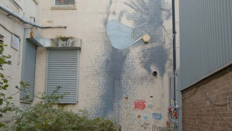 Disparo-Inclinado-De-Banksy-Chica-Vistiendo-Aretes-De-Perlas-Ilustraciones-En-Bristol,-Inglaterra