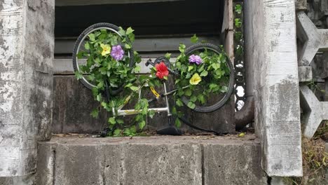 vines-and-bicycle