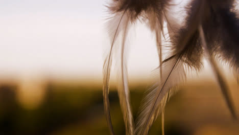 Extreme-Close-Up-Shot-of-Dreamcatcher-Feather-Swaying-In-the-Wind