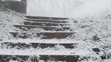 Tracking-Shot-Up-Steps-In-Snowy-Woodland-