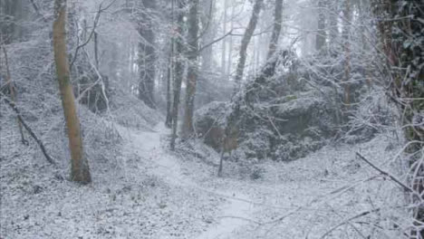 Tracking-Shot-Along-a-Snow-Covered-Footpath-In-a-Snowy-Woodland-Area-