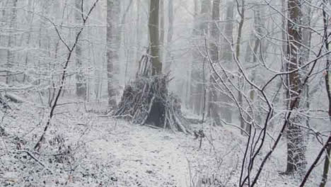 Kamerafahrt-Nähert-Sich-Der-Mensch-Im-Verschneiten-Wald-Snow