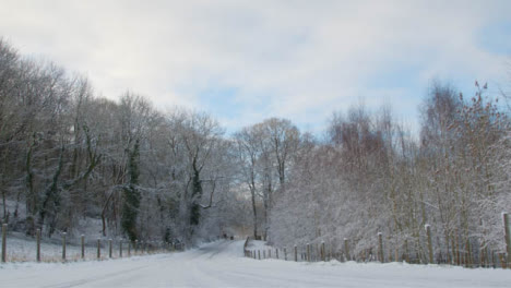 Tilting-Shot-Looking-Down-a-Road-Leading-into-Snow-Covered-Woodland-Area