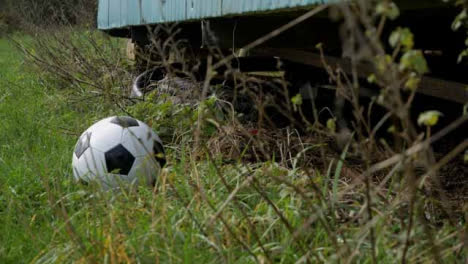 Long-Shot-of-Soccer-Ball-Landing-In-Grass-In-Front-of-Rundown-Metal-Cabin