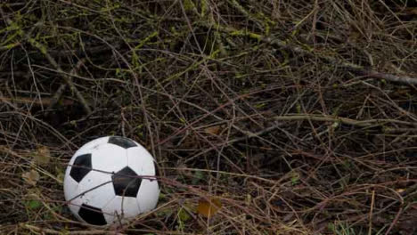 Medium-Shot-of-Soccer-Ball-Landing-In-Pile-of-Thorn-Branches-