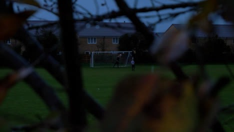 Long-Shot-Through-Branches-of-Two-People-Playing-Football-In-the-Evening