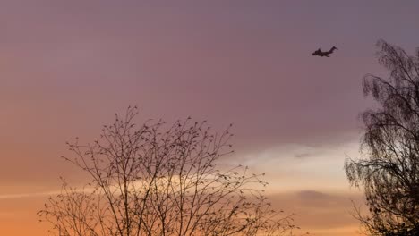 Wide-Shot-of-Tree-Branches-Swaying-In-Wind-as-Plane-Flies-Past-at-Sunset