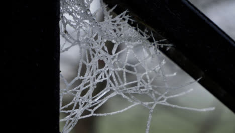 Extreme-Close-Up-of-Frosted-Over-Spider-Web-On-Cold-Morning