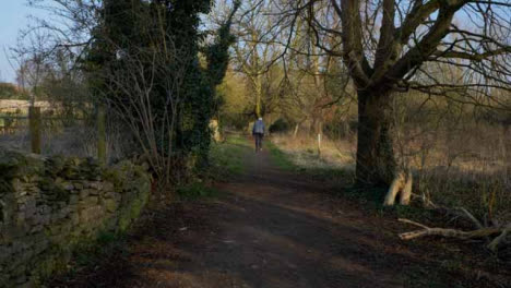 Tracking-Shot-Following-Senior-Person-Walking-Along-a-Woodland-Footpath