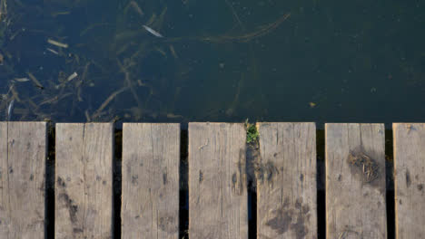 High-Angle-Shot-Looking-Down-at-Pond-Pontoon