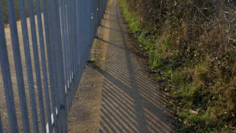 Tracking-Shot-Along-Footpath-Next-to-a-Metal-Fence