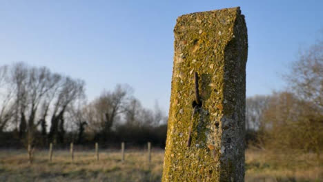 Tilting-Shot-of-Old-Concrete-Fence-Pillar-In-Field