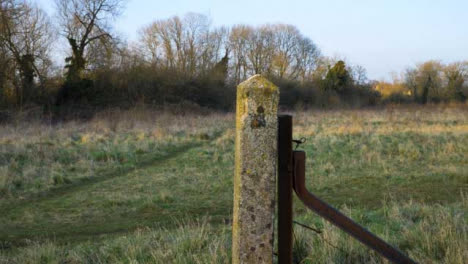 Tracking-Shot-Approaching-Old-Concrete-Fence-Pillar-In-Field