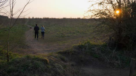 Panning-Shot-of-Dog-Walkers-In-Field-at-Sunset