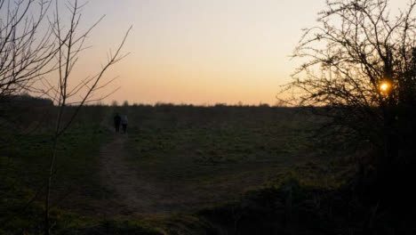 Tilting-Shot-of-Dog-Walkers-In-Field-at-Sunset